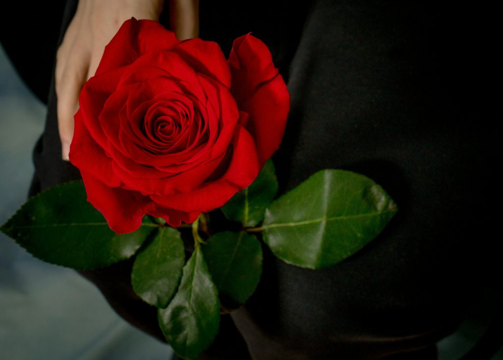 romantic flowers